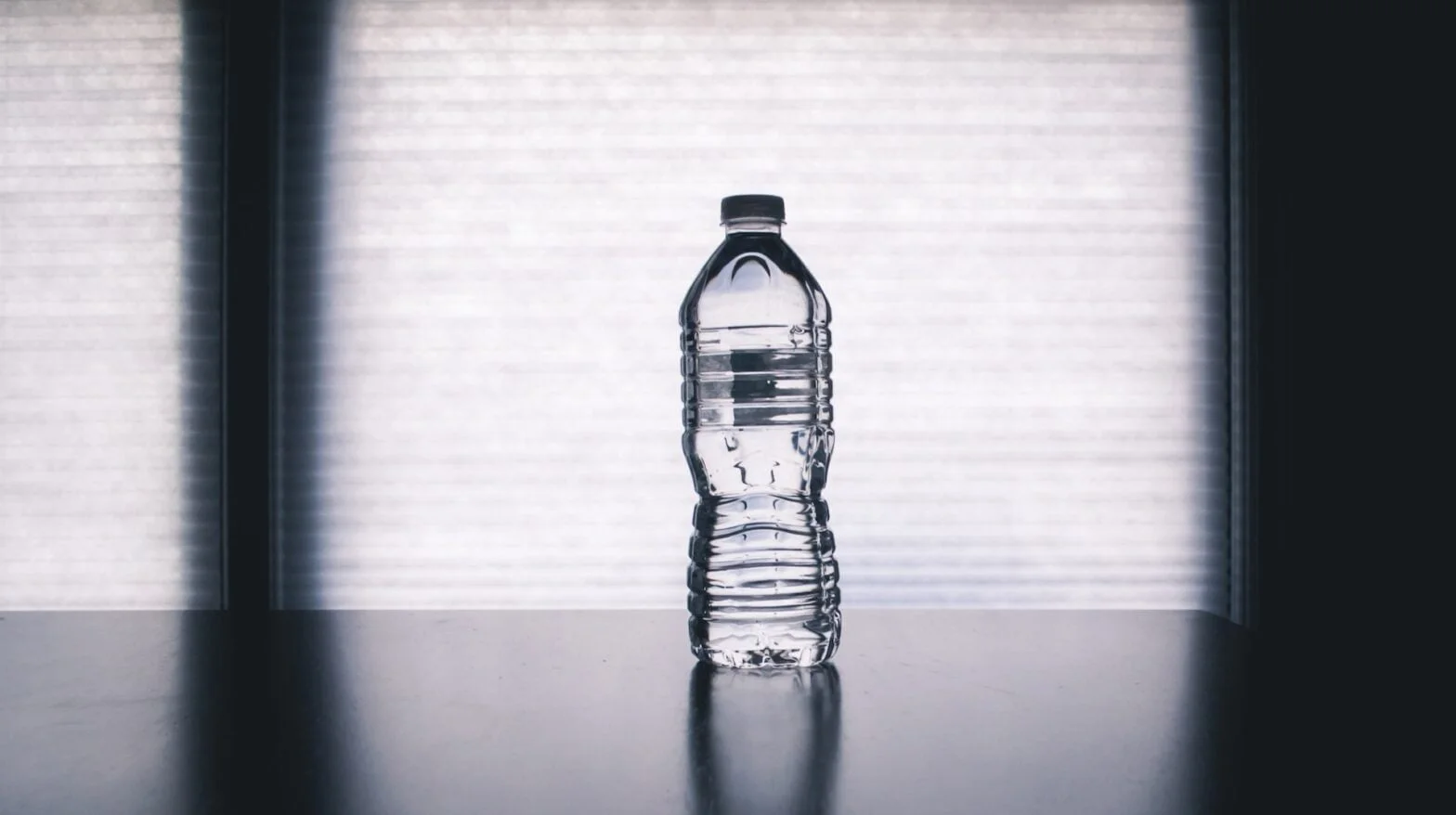 From Convenience to Concern: Evaluating the Safety of Plastic Water Bottles and Meal Prep Containers
