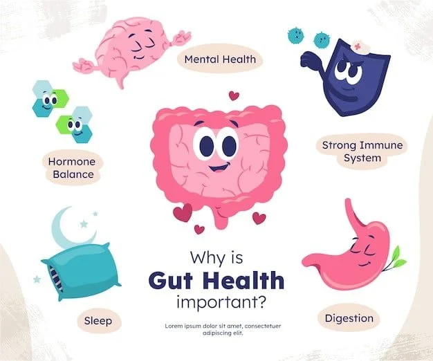 On the Trail of Gut Wellness: 7 Strategies for a Healthier Digestive System