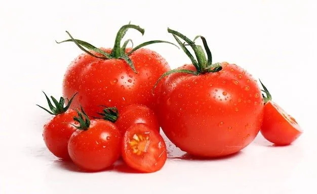 Red Alert: The Disadvantages of Genetically Modified (GM) Tomatoes