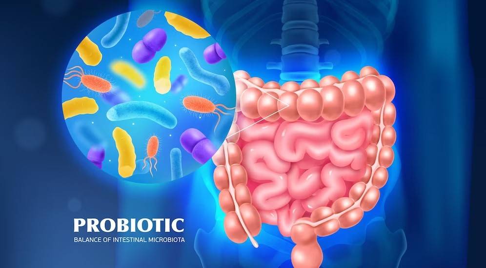 How Probiotics Can Improve Gut Health