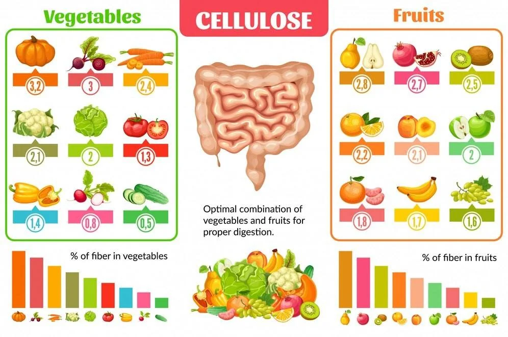 The Impact of Diet on Gut Health