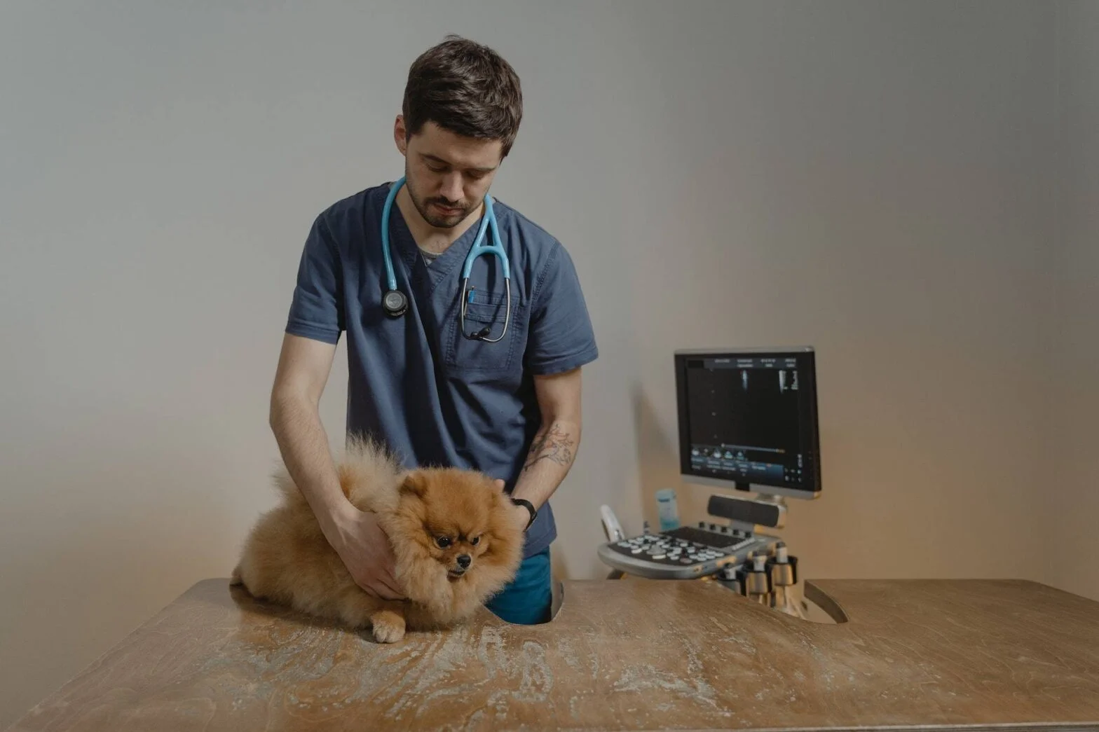 The Importance of Regular Vet Visits for Your Pet