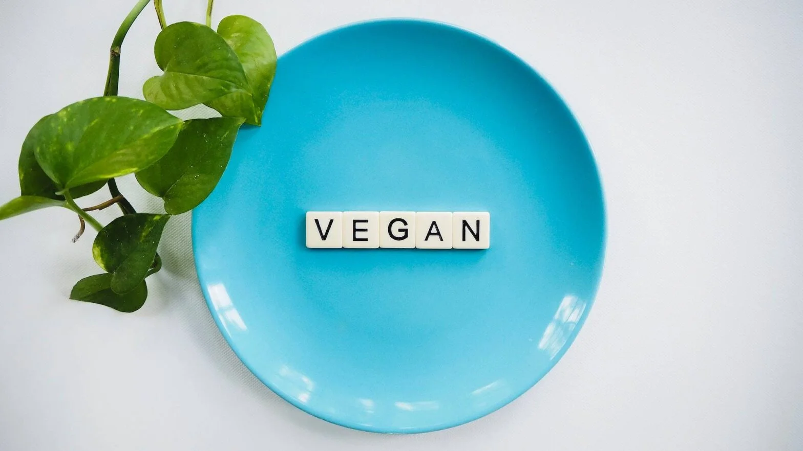 The Pros and Cons of Veganism