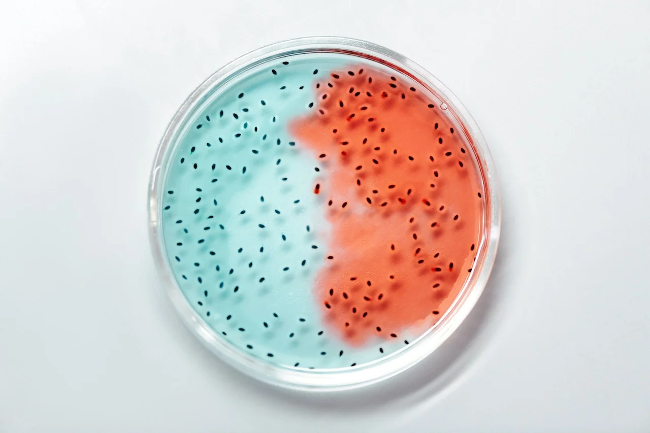 Creating a Bacterial Oasis: Conditions That Favor Bacterial Growth