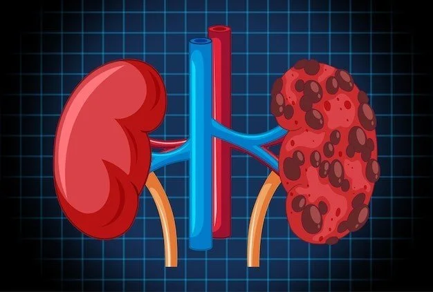 Decoding Causes: Understanding Potential Triggers of Kidney Failure