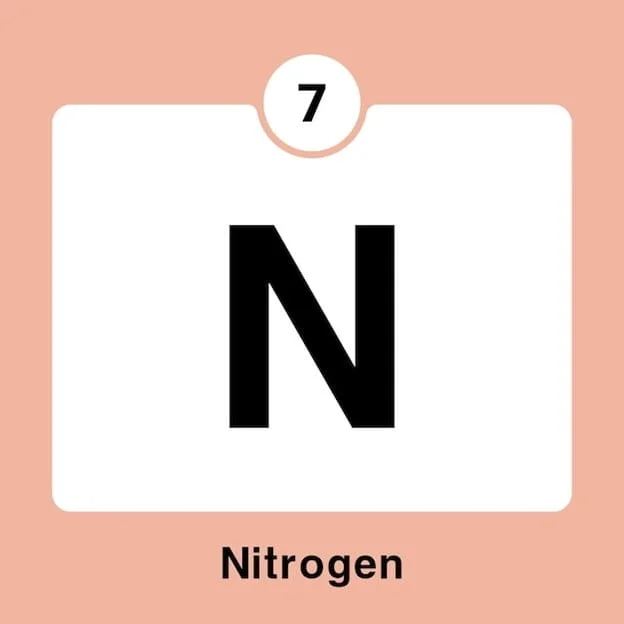 Nitrogen: Fueling the Fire Within – The Crucial Role of Nitrogen in the Body