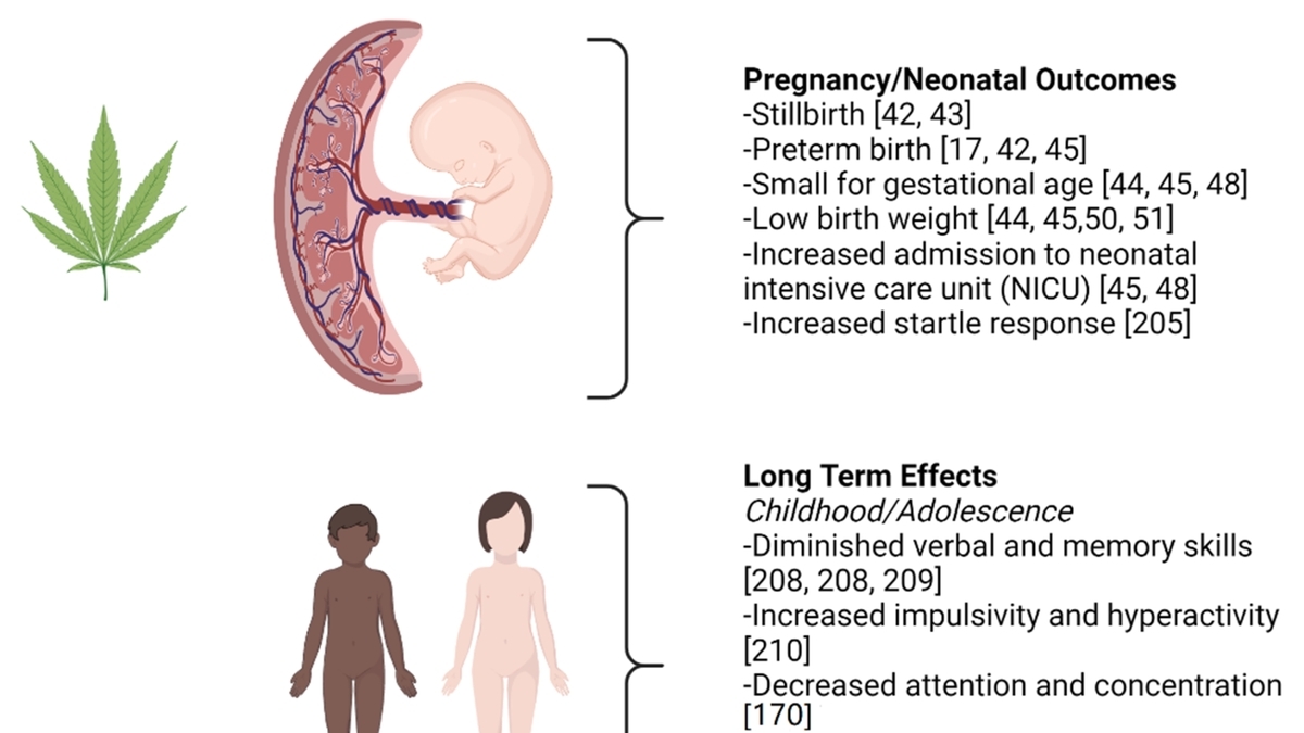 https://media.medriva.com/content/uploads/2023/12/cannabis-exposure-during-pregnancy-and-its-health-effects-20231215193819.jpg