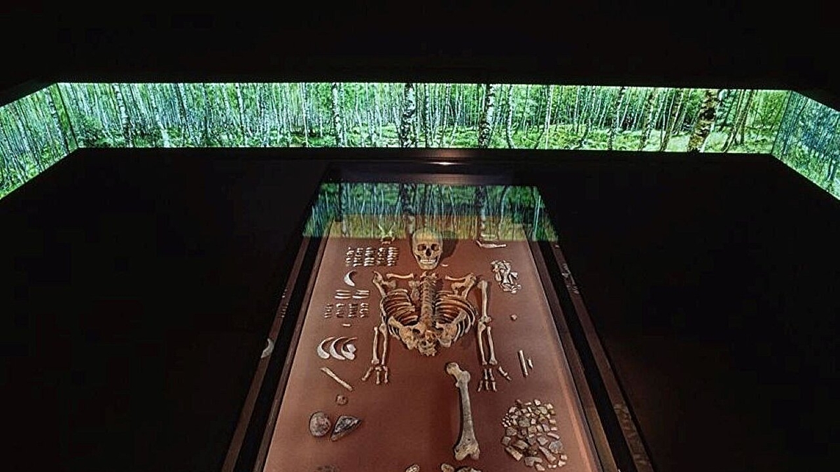 Genforschung gibt Aufschluss über 9.000 Jahre alte Bestattungen in Deutschland