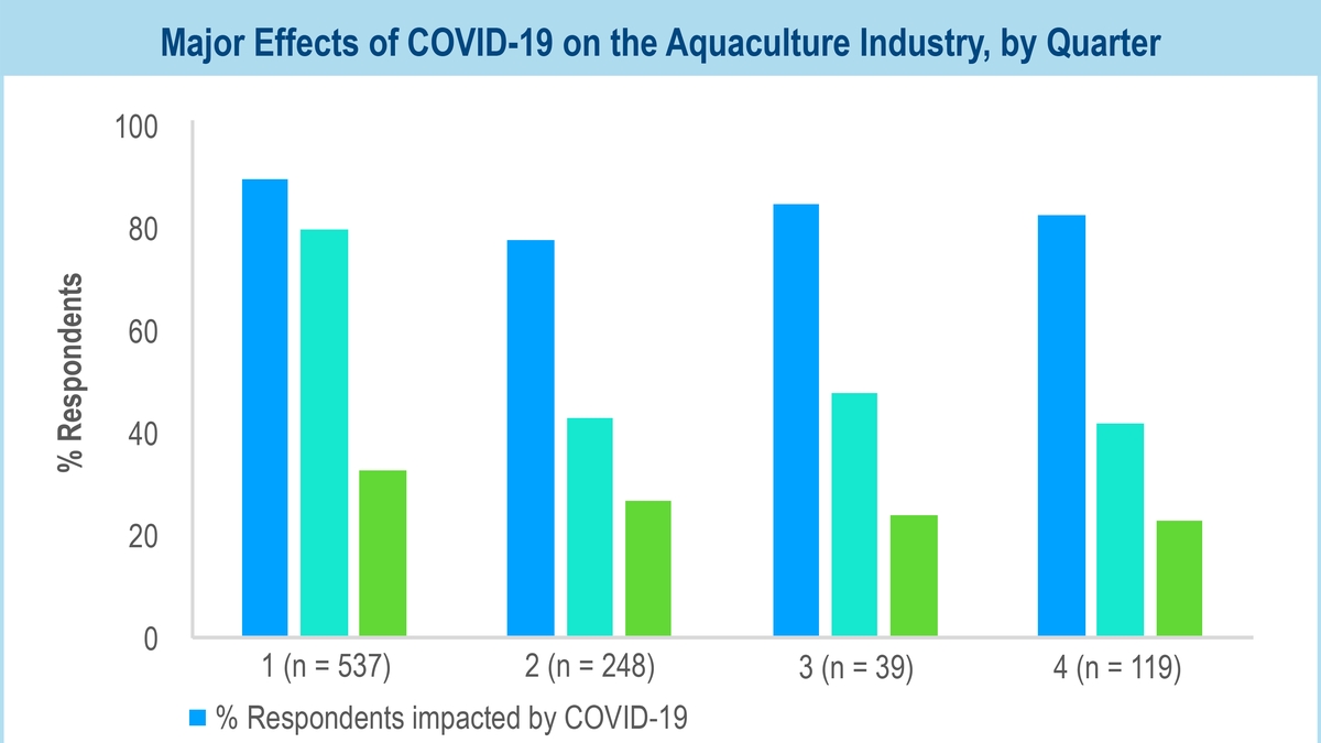 COVID-19 and the small-scale fishing sector in the Galapagos