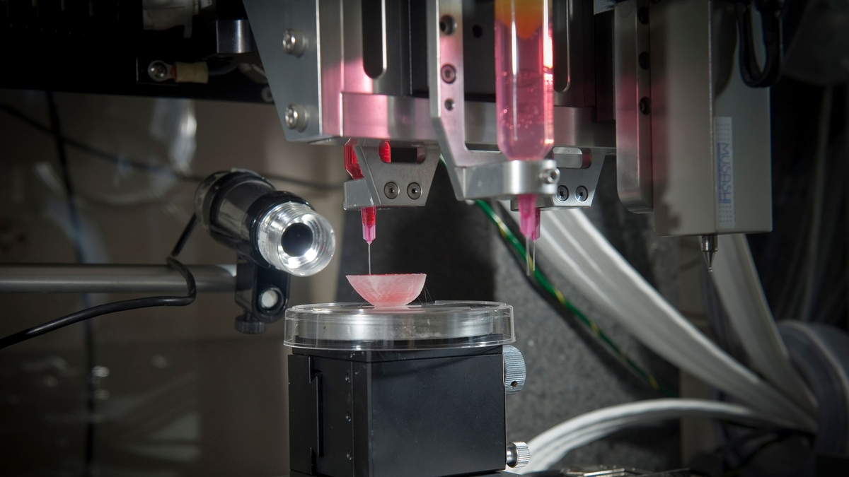 Revolutionizing Organ Transplant with 3D Bioprinting: A New Technique Using Ice Moulds