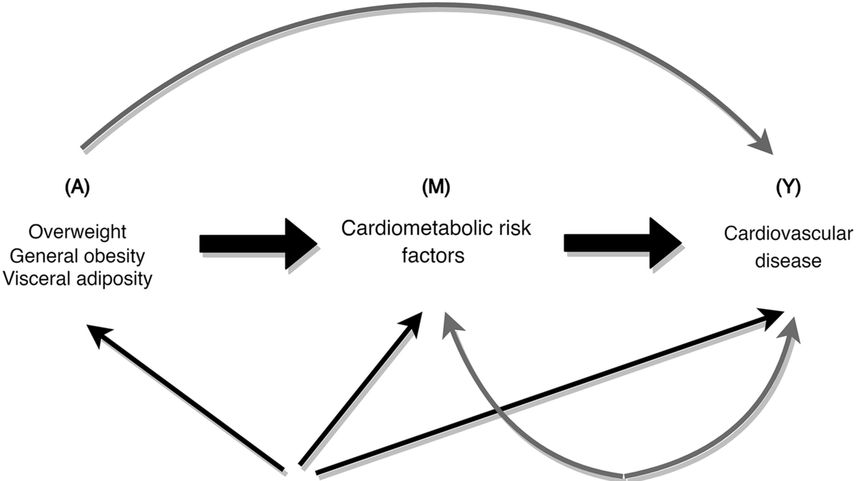 The Interplay of Obesity Indices and Cardiovascular Disease: A Meta-Analysis