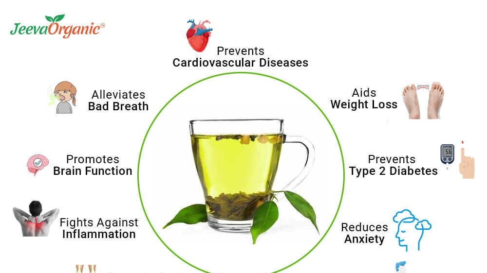 The Heart-Healthy Benefits of Green Tea: Unraveling the Connection