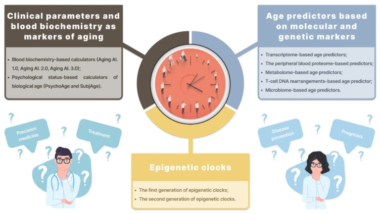 Beyond Chronological Age: Estimating Biological Age for Personalized Healthcare