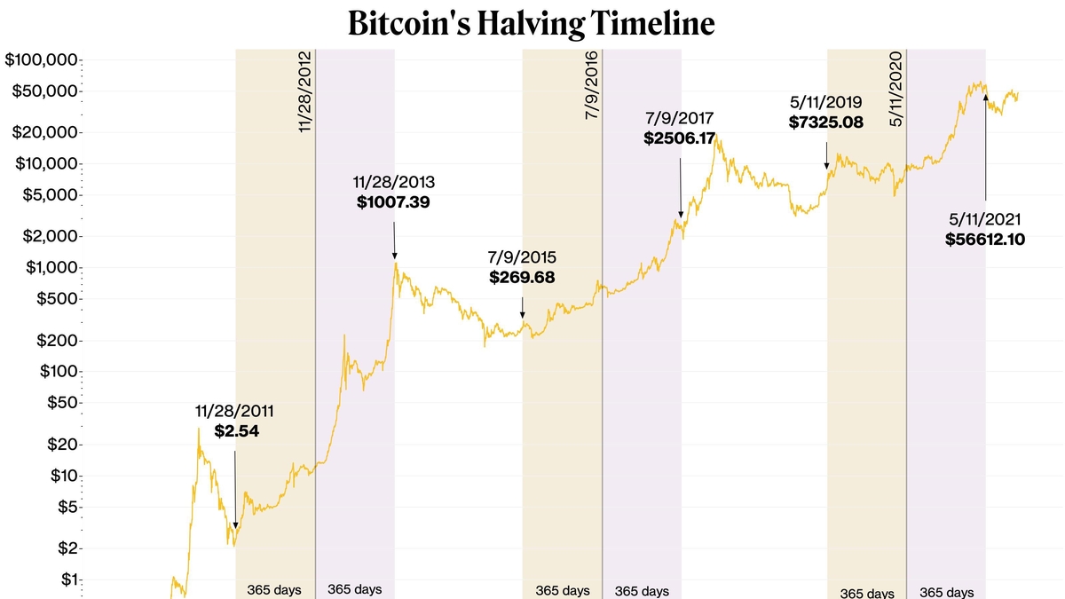 The Bitcoin Halving: An Insight into its Impact on Bitcoin Mining and Prices