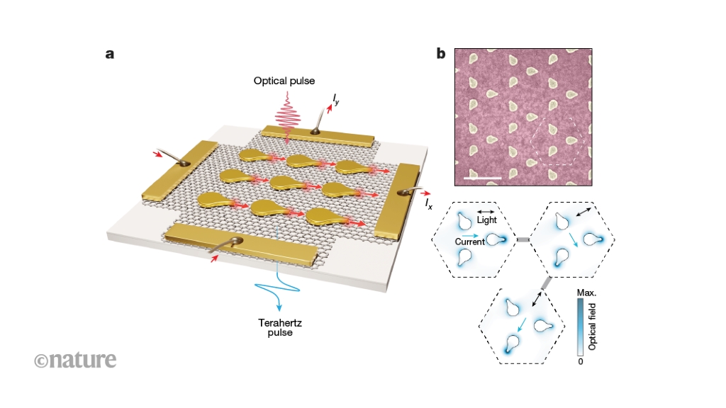 Exploring the Potential of Light-Driven Nanoscale Vectorial Currents