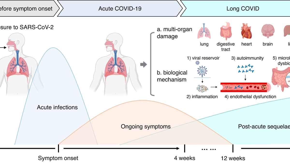 Guidelines for Managing Long-Term Effects of COVID-19: A Holistic, Patient-Centered Approach