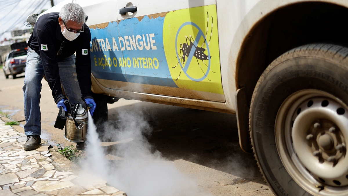 Brazil Faces Unprecedented Dengue Fever Outbreak: Emergency Measures and Mass Vaccination in Progress