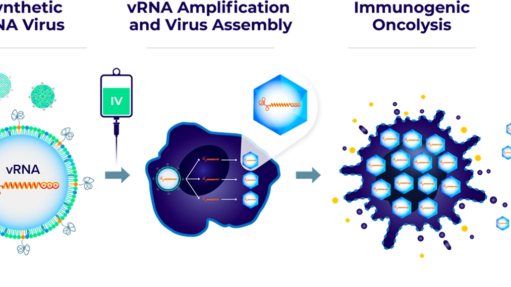 Harnessing the Power of Synthetic RNA Virus Immunotherapy in Cancer Treatment