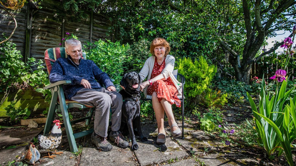 Trained Dementia Assistance Dog Seeks New Home: A Heartwarming Story of Caring Canines