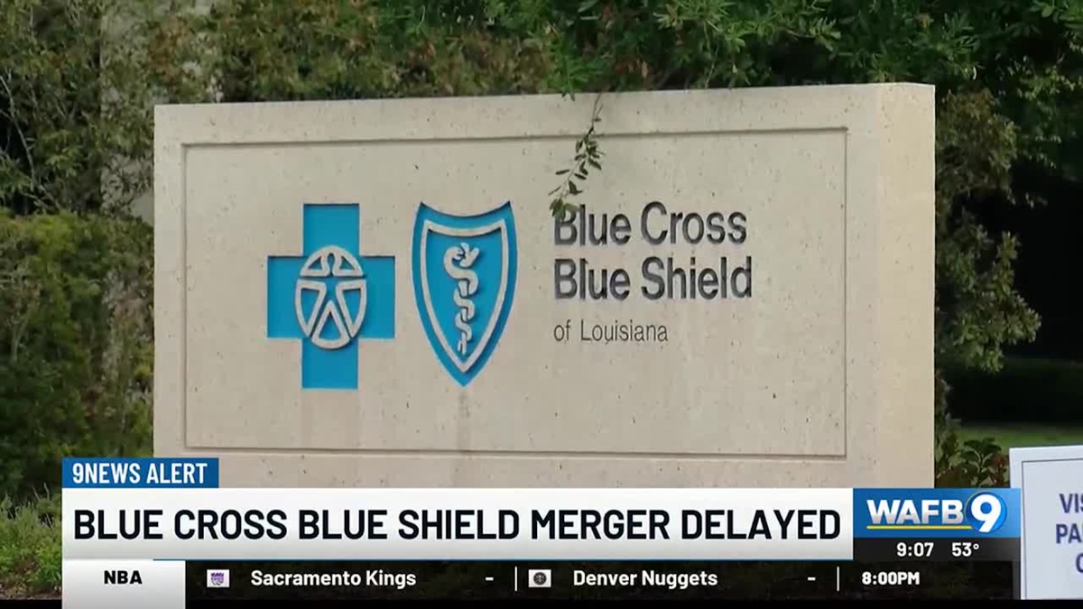 The Postponed Elevance Health-Blue Cross Merger: What it Means for the Healthcare Industry