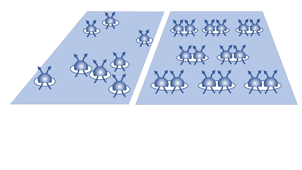 Exploring Composite Fermions and Their Role in Fractional Quantum Hall Regime