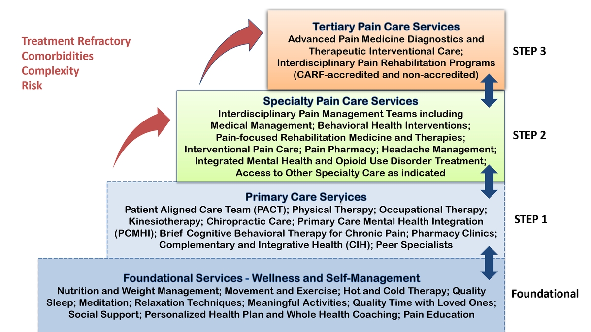 Integrative Health and Nonpharmacologic Approaches to Chronic Pain Management: Understanding Factors of Engagement