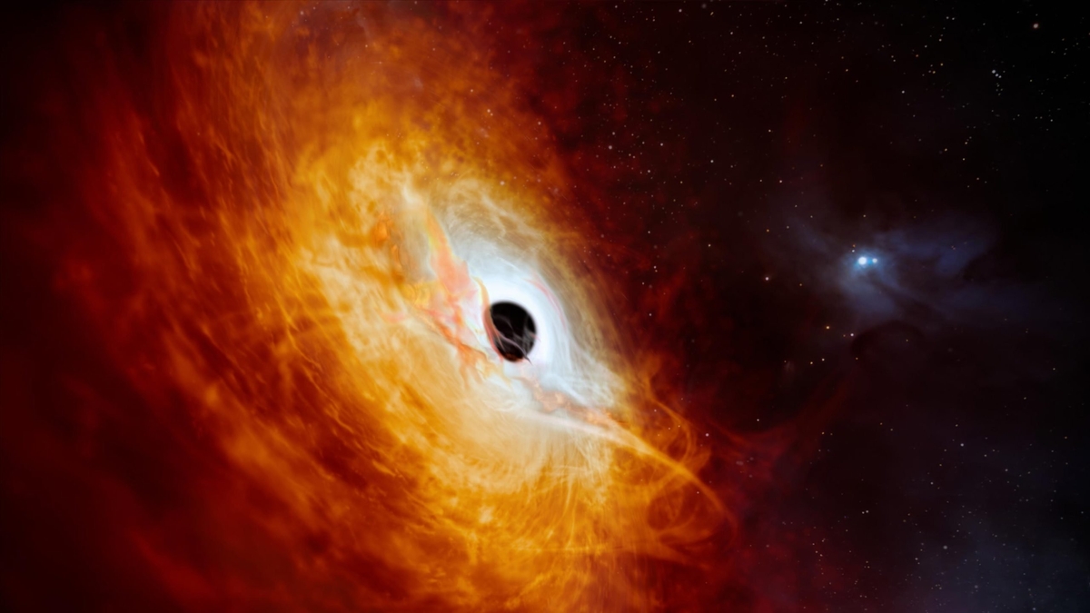 Unveiling J0529-4351: The Brightest, Fastest-Growing Black Hole in the Universe