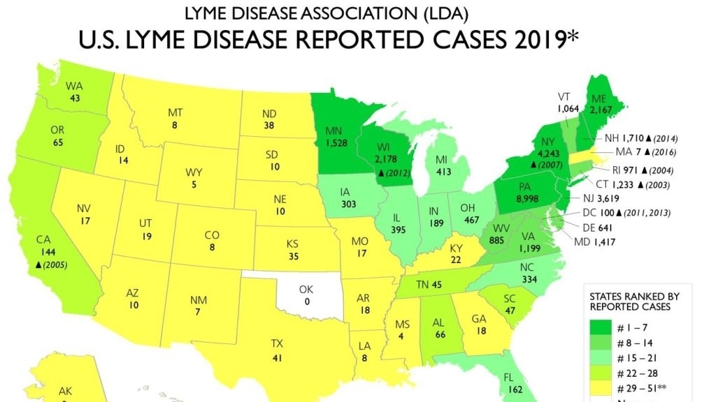 Understanding the Surge in Reported Lyme Disease Cases in the U.S