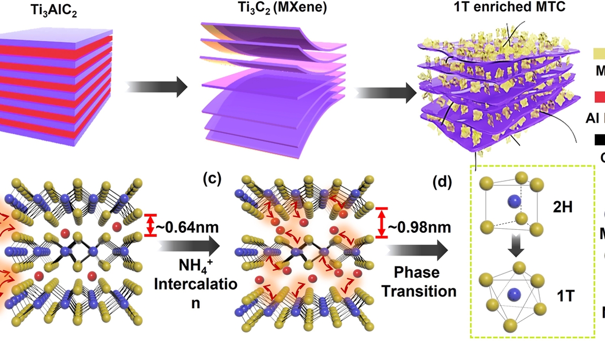 MXene/MoSe2@C Nanostructure: A Superior Anode Material for Alkali Metal Ion Batteries