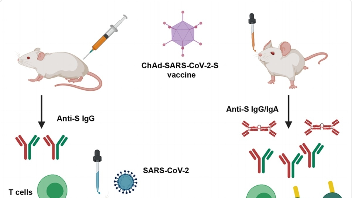 Nasal SARS-CoV-2 Vaccines: A New Hope in the Fight Against COVID-19 Variants