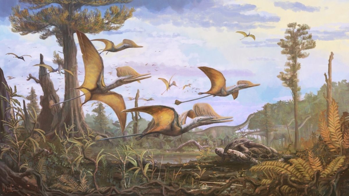 Unraveling Pterosaur Evolution: The Discovery of the ‘Mist Wing’ Pterosaur Ceoptera Evansae
