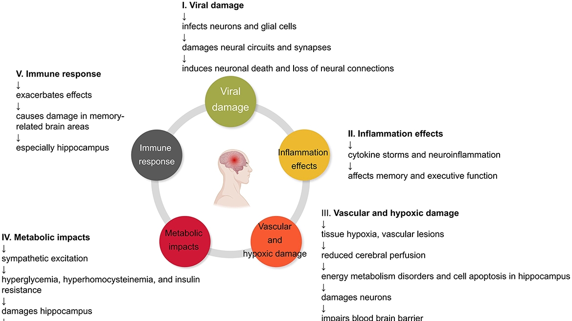 Understanding the Impact of Cognitive Symptoms in Post-COVID-19 Condition