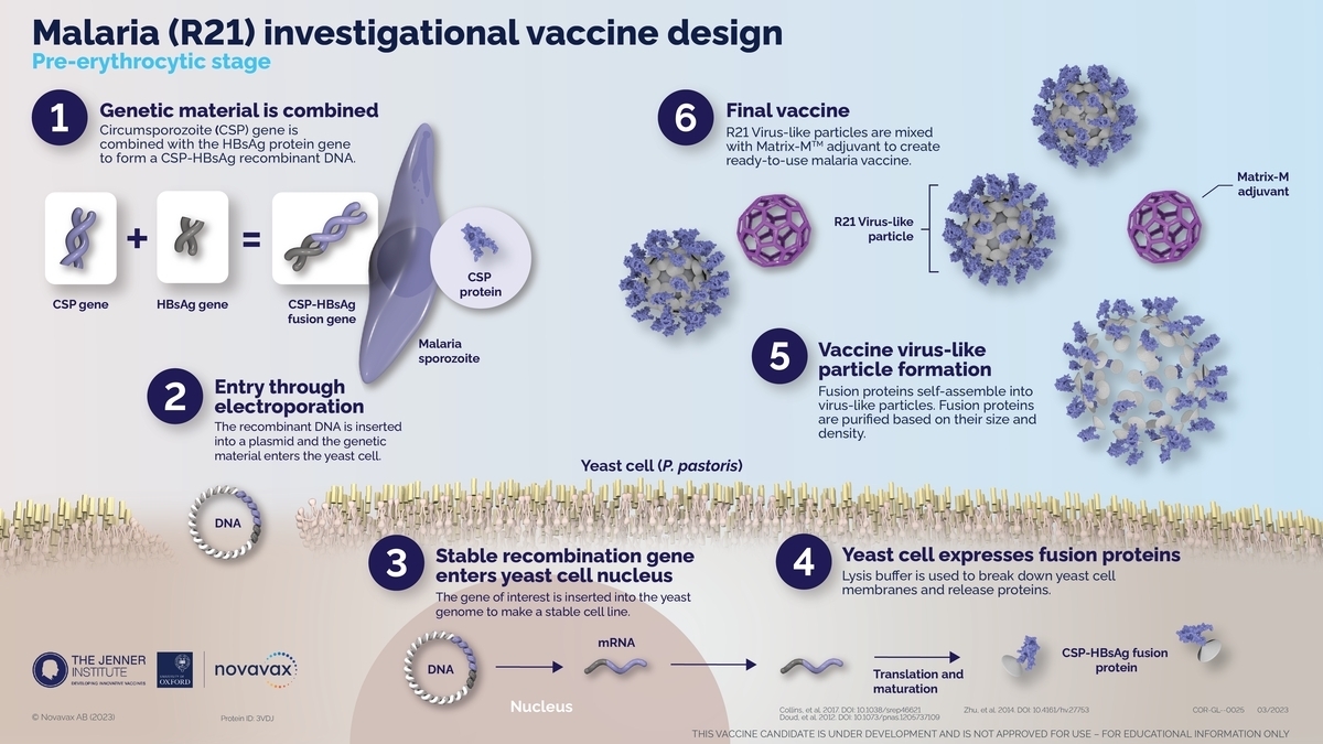 A Leap Forward in Malaria Prevention: The R21/Matrix-M Vaccine