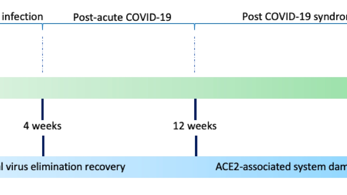 The Road to Recovery: Navigating Rehabilitation Following COVID-19