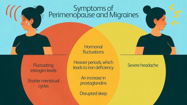 Understanding the Link between Migraines, Vasomotor Symptoms, and Cardiovascular Risk in Women